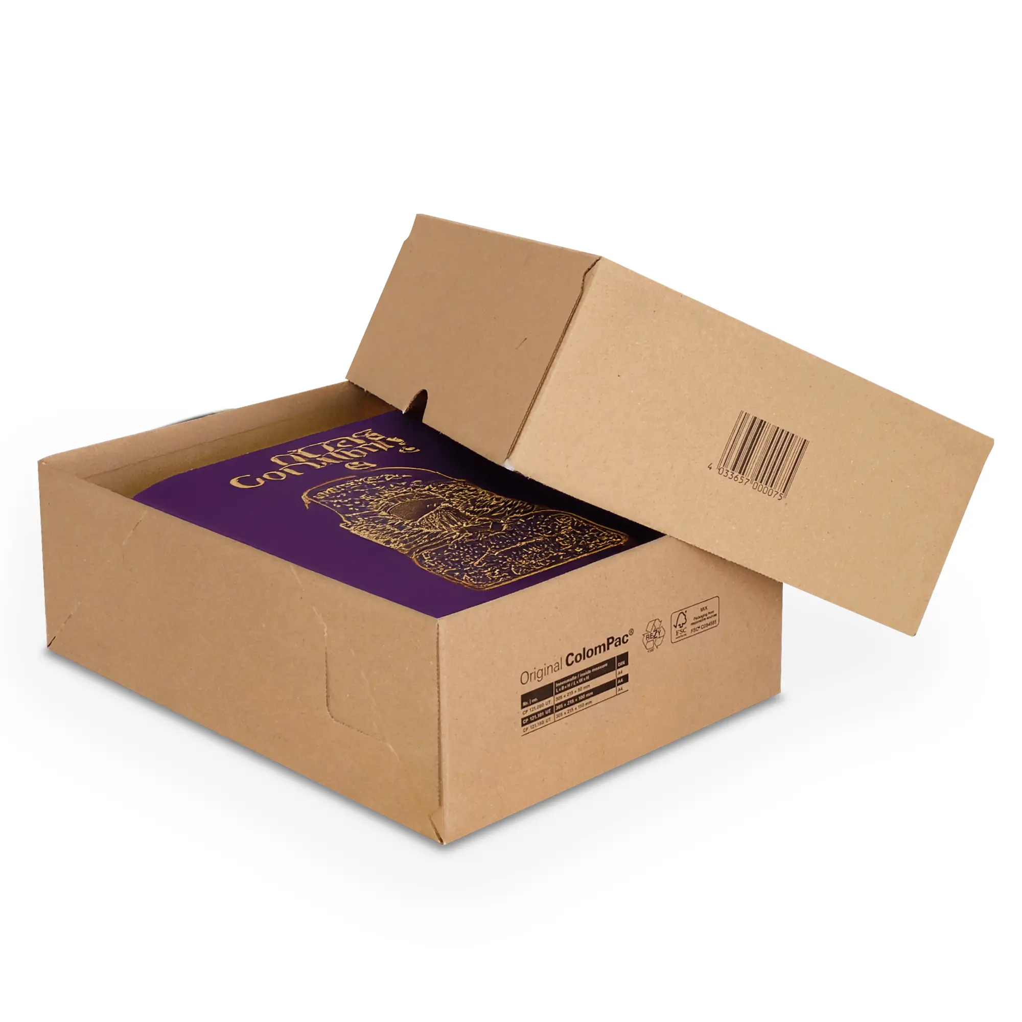 Aufrichtekarton DIN A4 305x215x100 mm