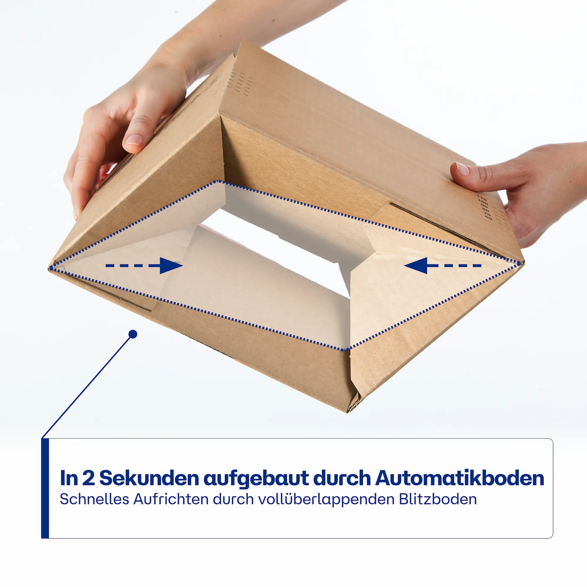 Blitzbodenkarton mit SK + AF CP 151.328